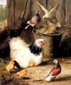 unknow artist Hen chicken and pigeon France oil painting art